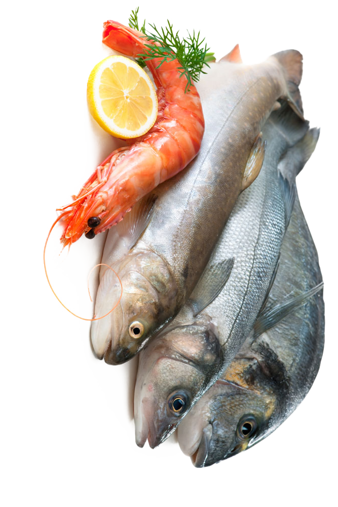 Home - Delicate Fish-Ihr Onlineshop für fangfrische Fische